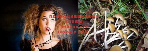 хмурый Зерноград