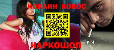 крисы Гатчина