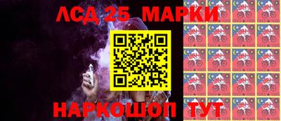 крисы Гатчина