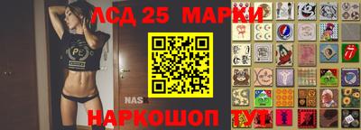 крисы Гатчина