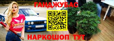 кокс Гай