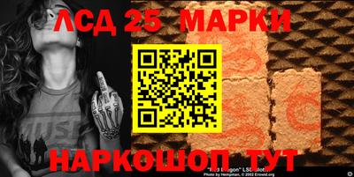 крисы Гатчина