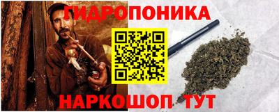 крисы Гатчина