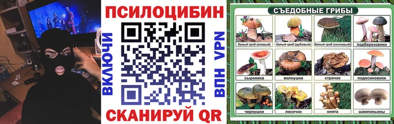Псилоцибиновые грибы мухоморы  даркнет сайт  Мурманск 