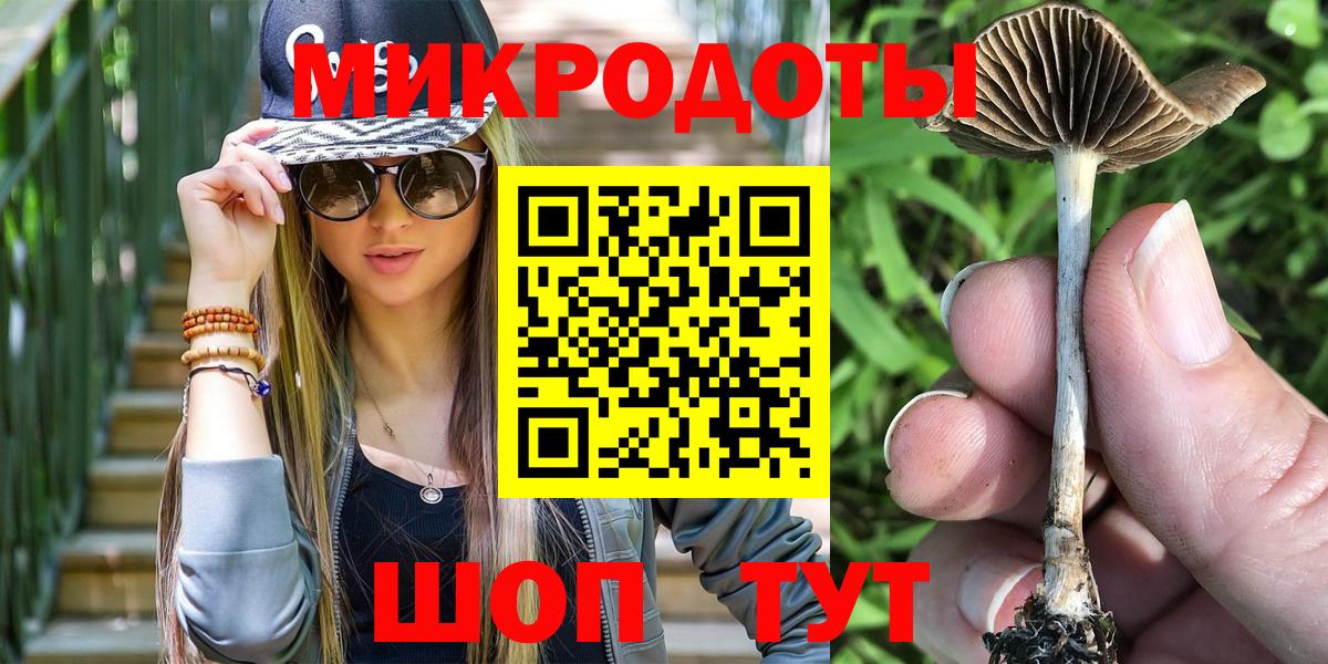 Галлюциногенные грибы прущие грибы Мурманск
