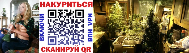Каннабис план  Мурманск 